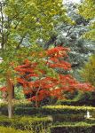 assistens5