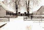 Brændeskov Skole 7