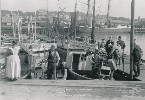 fiskeudsalg