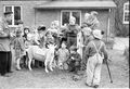 liljenstrand6