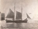 Gamle Thor. 1881