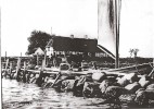 Landgangsbro ved Østerhoved o. 1900