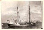 Ny Thor. 1900