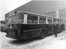 bus byssing