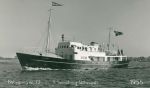 misigssut_svendborg