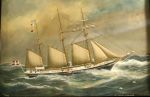 clytia_33_297