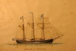 svalen_34_517